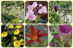 Bloemencollage-003-LR