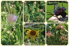 Bloemencollage-008-LR